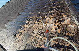 Traitement d’une toiture au d’Alep 2100 par pulvérisation garantie5 ans lieux Le Bosc-Roger-en-Roumois 